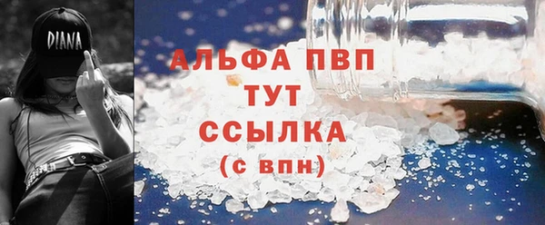 молекула духа Алексин