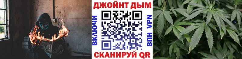 Бошки Шишки семена Кочубеевское